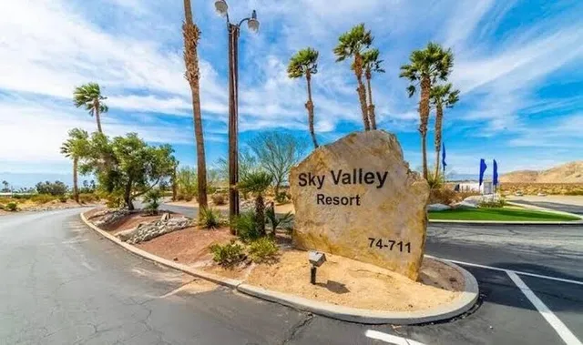 a view of a lake with boats and palm trees