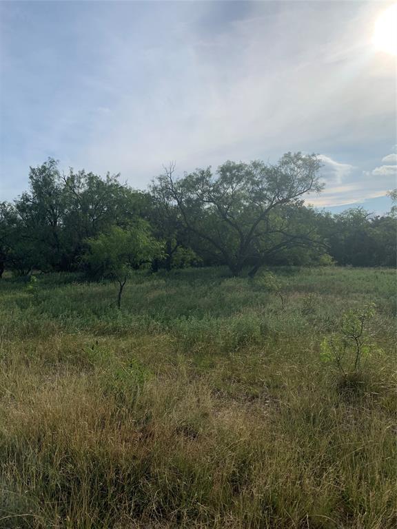 31.09-ac Hoefle Road Jacksboro, TX 76458 - Photo 30 of 33 a view of a field with trees in background