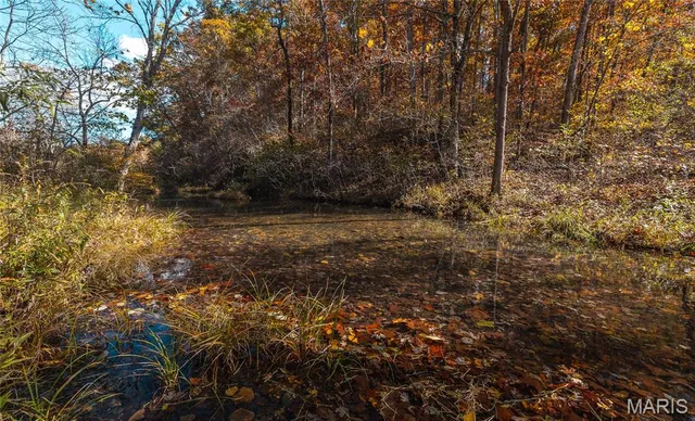 $472,000 | 849 County Road 126, Annapolis, MO 63620