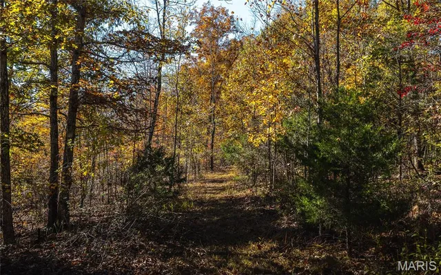 $472,000 | 849 County Road 126, Annapolis, MO 63620