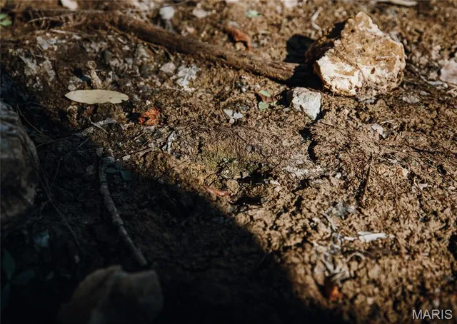 $472,000 | 849 County Road 126, Annapolis, MO 63620