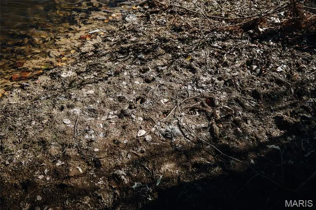 $472,000 | 849 County Road 126, Annapolis, MO 63620