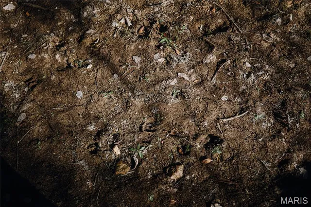 $472,000 | 849 County Road 126, Annapolis, MO 63620