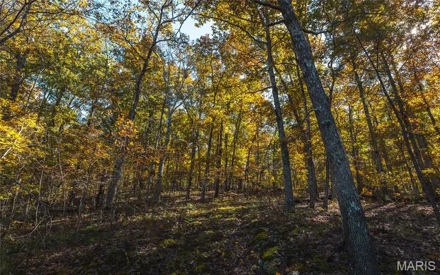 $472,000 | 849 County Road 126, Annapolis, MO 63620