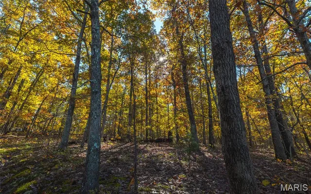 $472,000 | 849 County Road 126, Annapolis, MO 63620