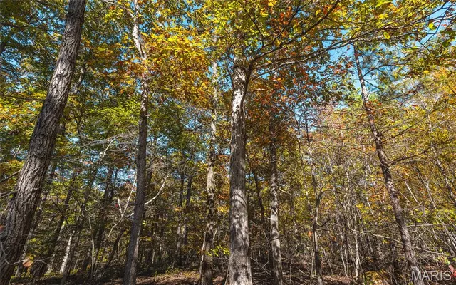 $472,000 | 849 County Road 126, Annapolis, MO 63620