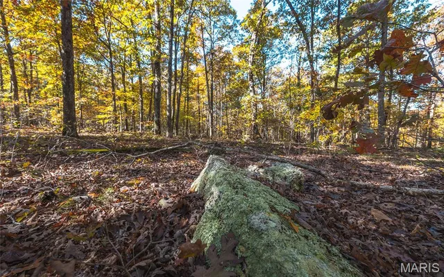 $472,000 | 849 County Road 126, Annapolis, MO 63620