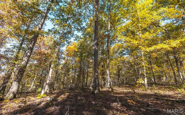 $472,000 | 849 County Road 126, Annapolis, MO 63620