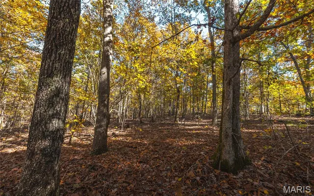 $472,000 | 849 County Road 126, Annapolis, MO 63620