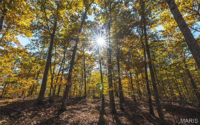 $472,000 | 849 County Road 126, Annapolis, MO 63620