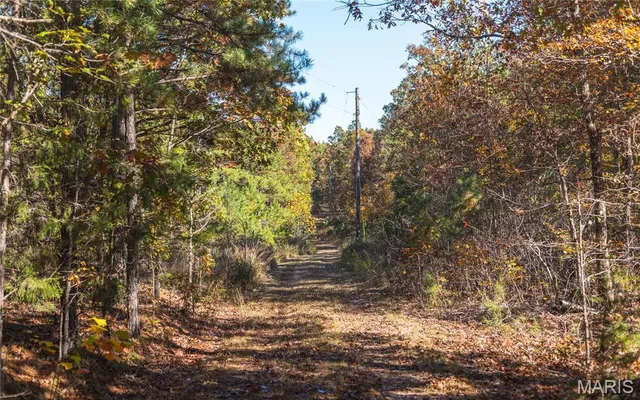 $472,000 | 849 County Road 126, Annapolis, MO 63620