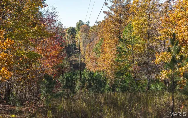 $472,000 | 849 County Road 126, Annapolis, MO 63620