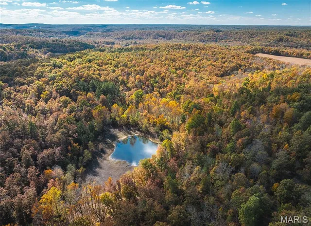 $472,000 | 849 County Road 126, Annapolis, MO 63620