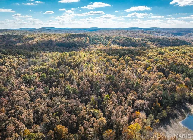 $472,000 | 849 County Road 126, Annapolis, MO 63620