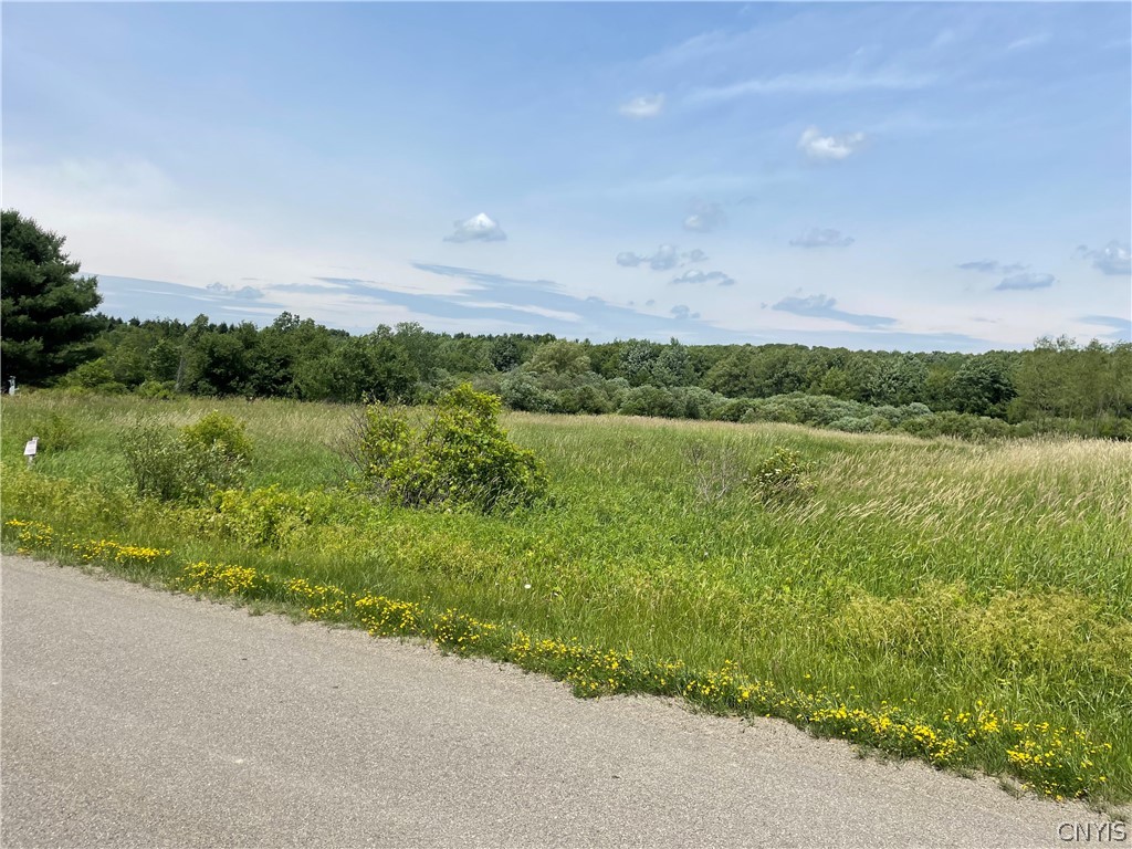 0 28th Creek Road Falconer, NY 14733 - Photo 1 of 1 Gallery Image 1
