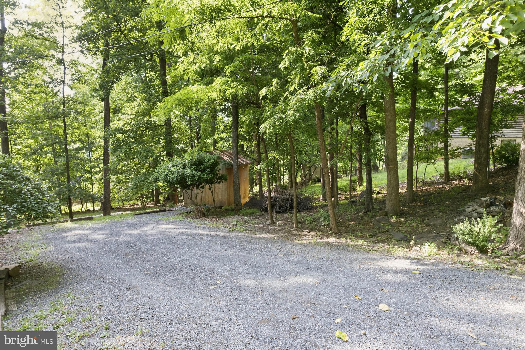 997 Wilderness Road Linden, VA 22642 - Photo 58 of 61 Driveway