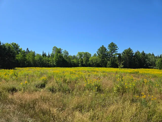 $224,400 | Off Osgood Road, Springfield, ME 04487