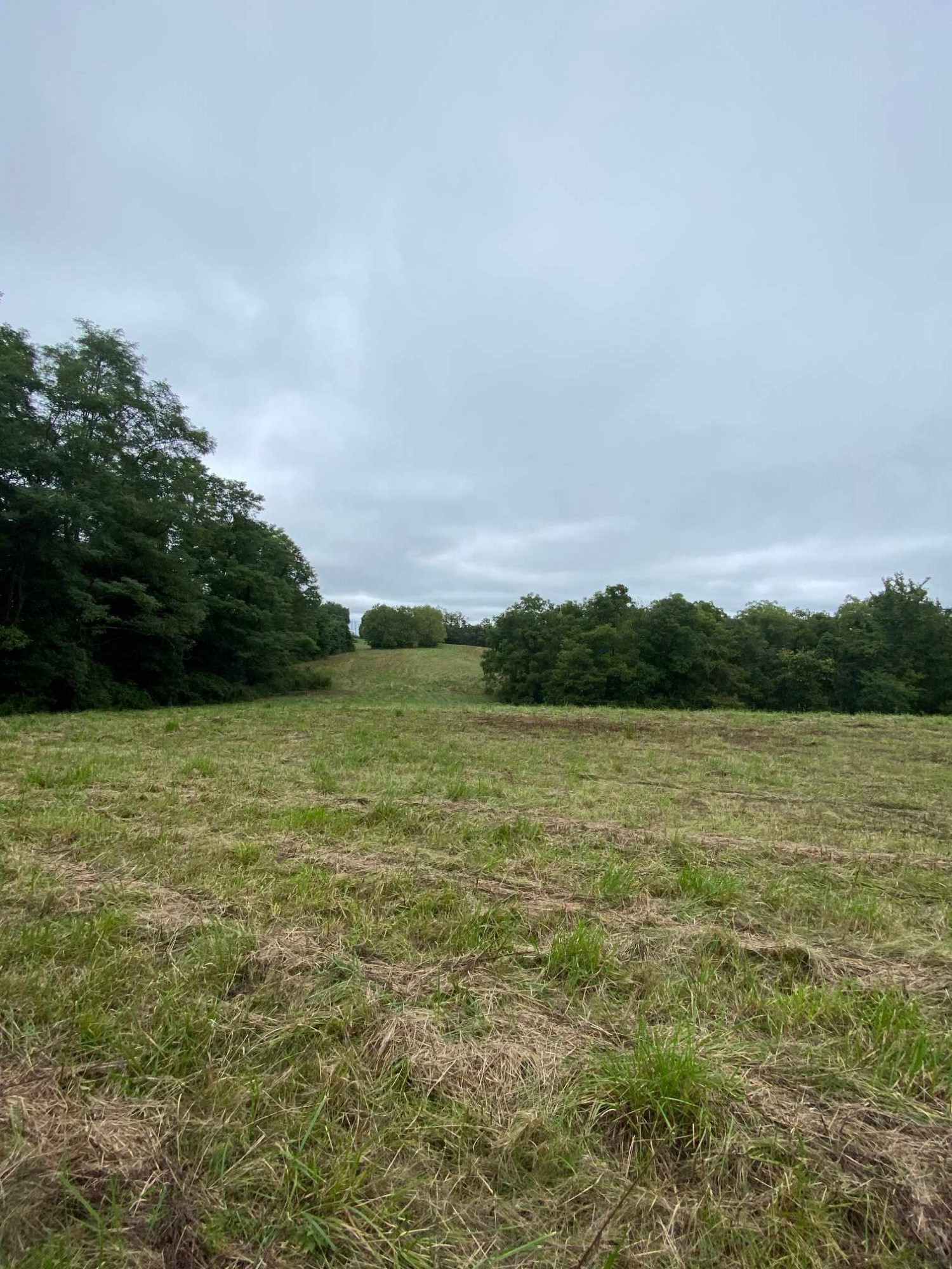 3 Baton Rouge Road Williamstown, KY 41097 - Photo 1 of 25