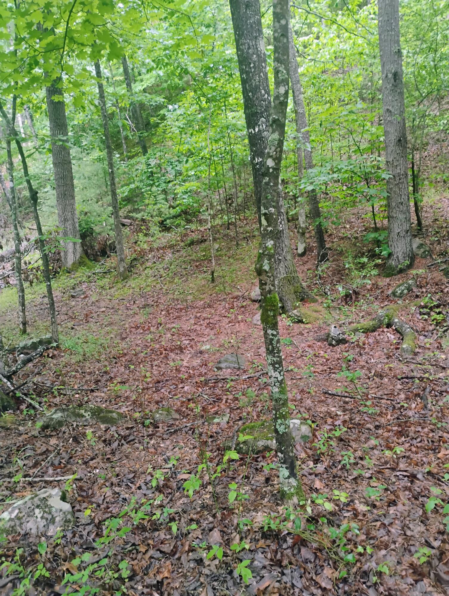 425 Miller Cove Road Catawba, VA 24070 - Photo 7 of 19 1000000407