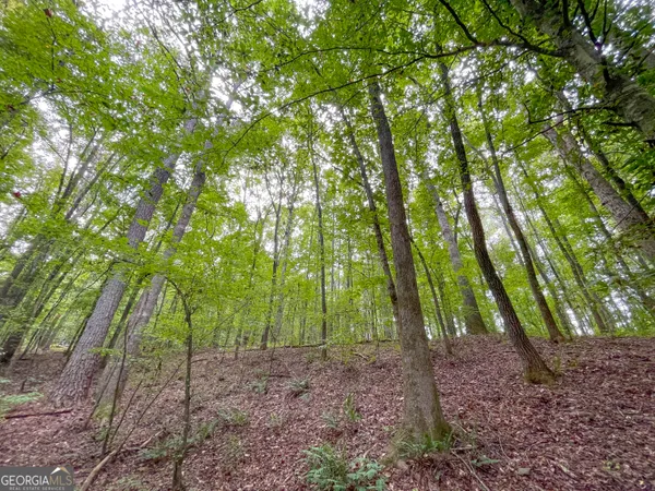 $107,500 | 10 Acres On J Davis Road, Tallapoosa, GA 30176