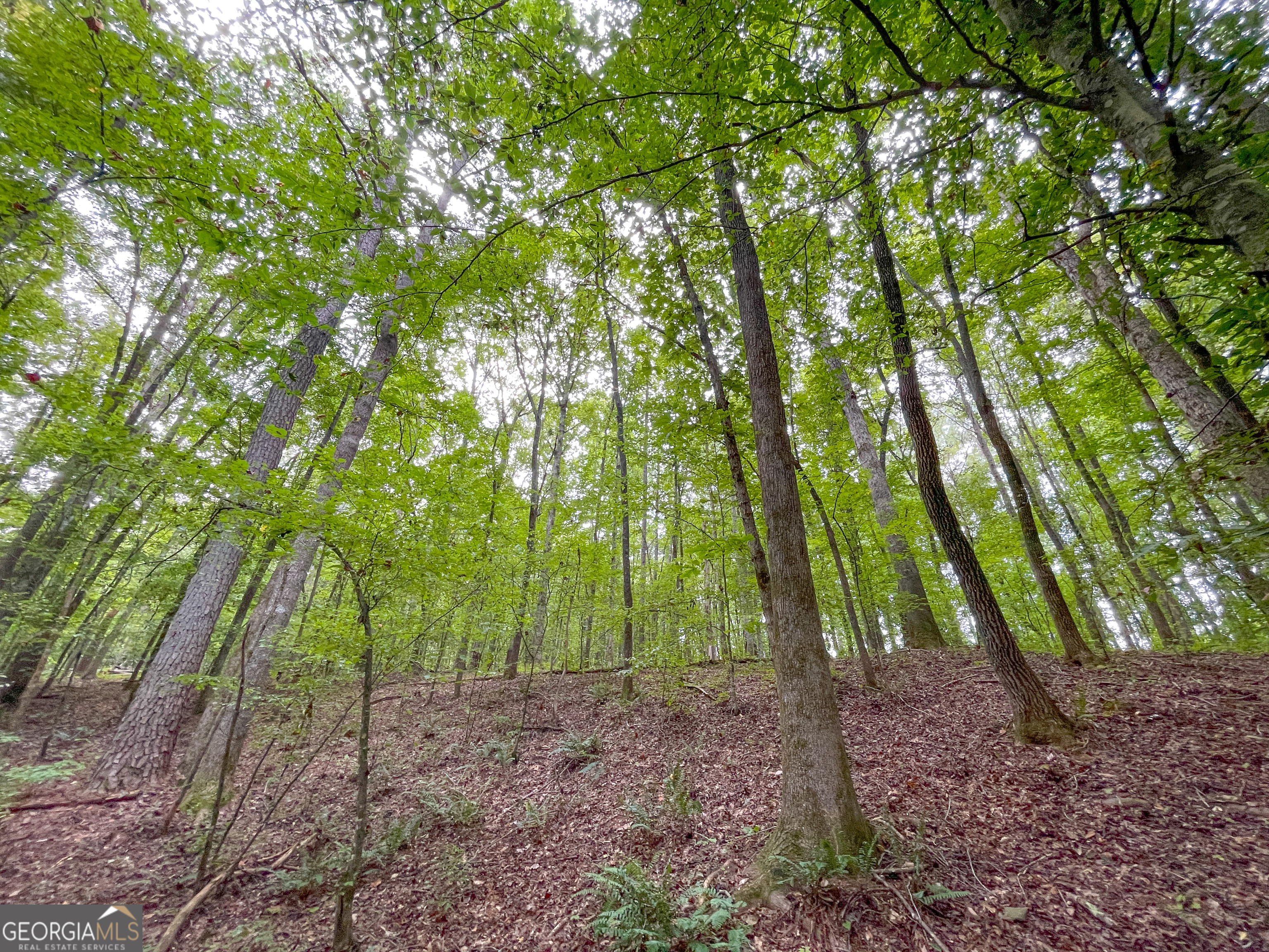 10 Acres On J Davis Road Tallapoosa, GA 30176 - Photo 12 of 25