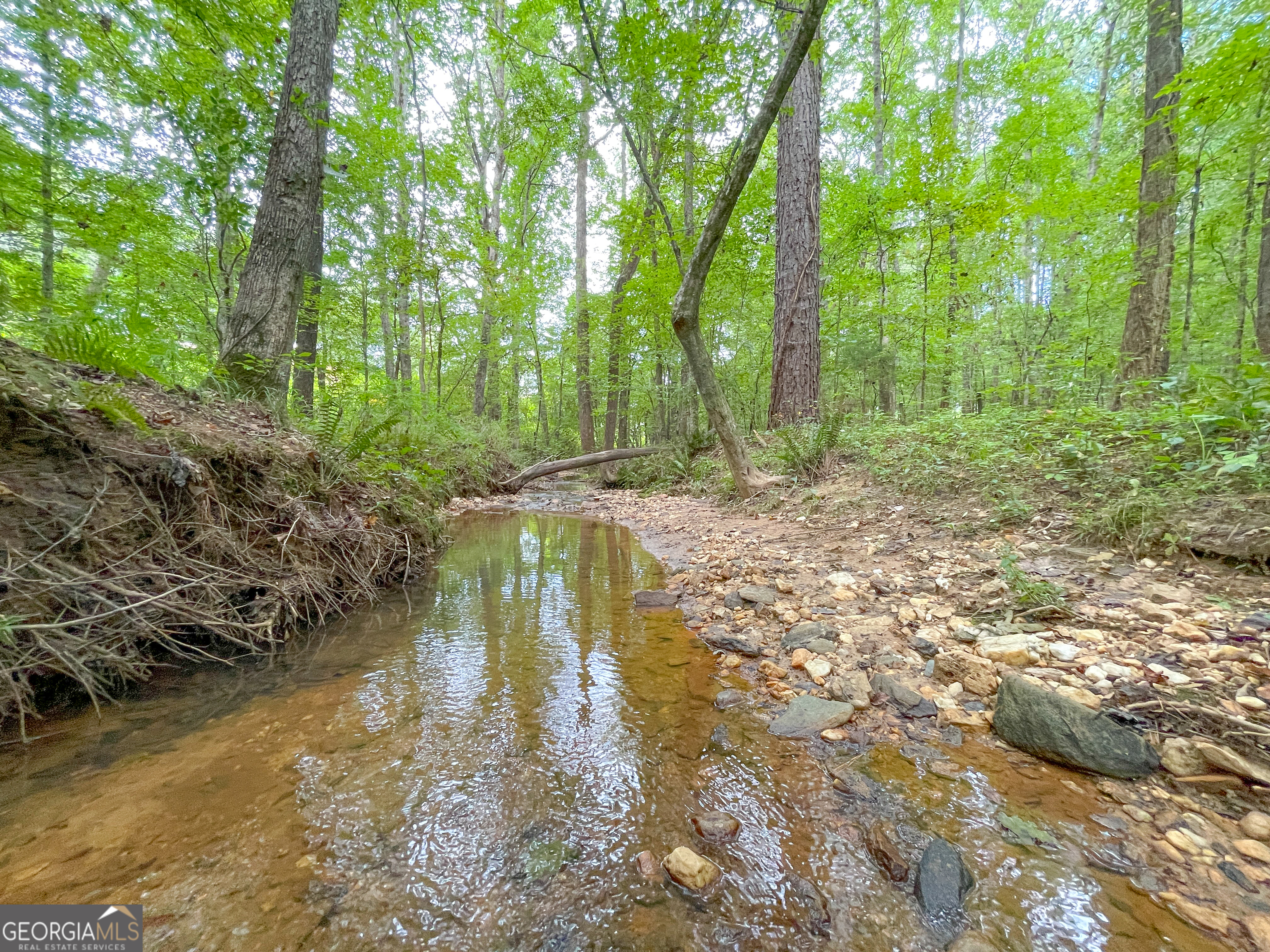 10 Acres On J Davis Road Tallapoosa, GA 30176 - Photo 14 of 25