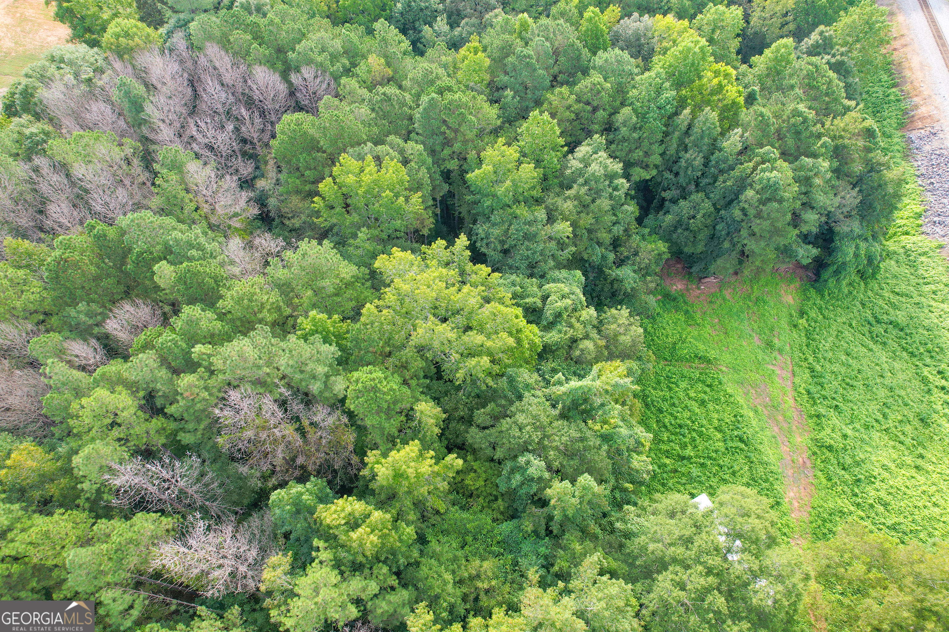 10 Acres On J Davis Road Tallapoosa, GA 30176 - Photo 16 of 25