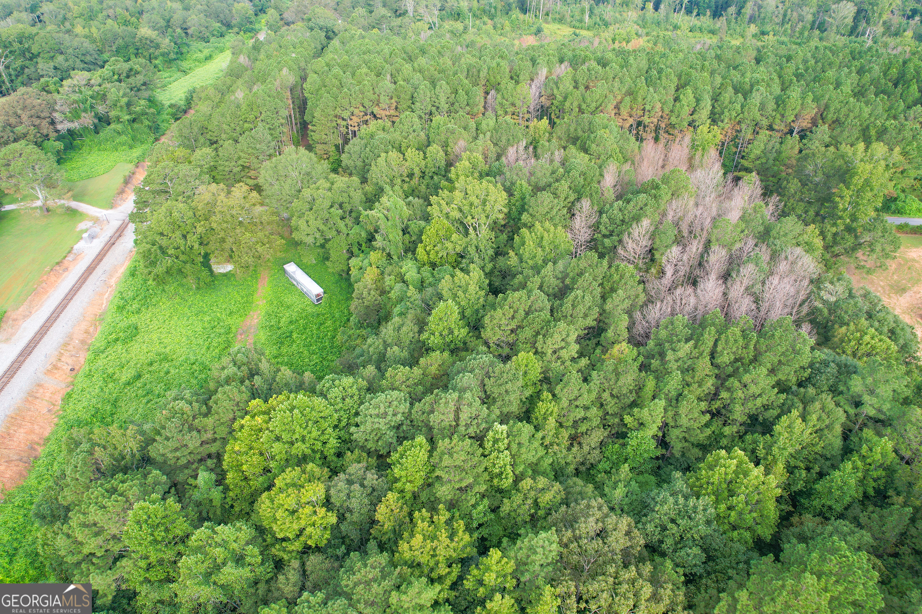 10 Acres On J Davis Road Tallapoosa, GA 30176 - Photo 17 of 25