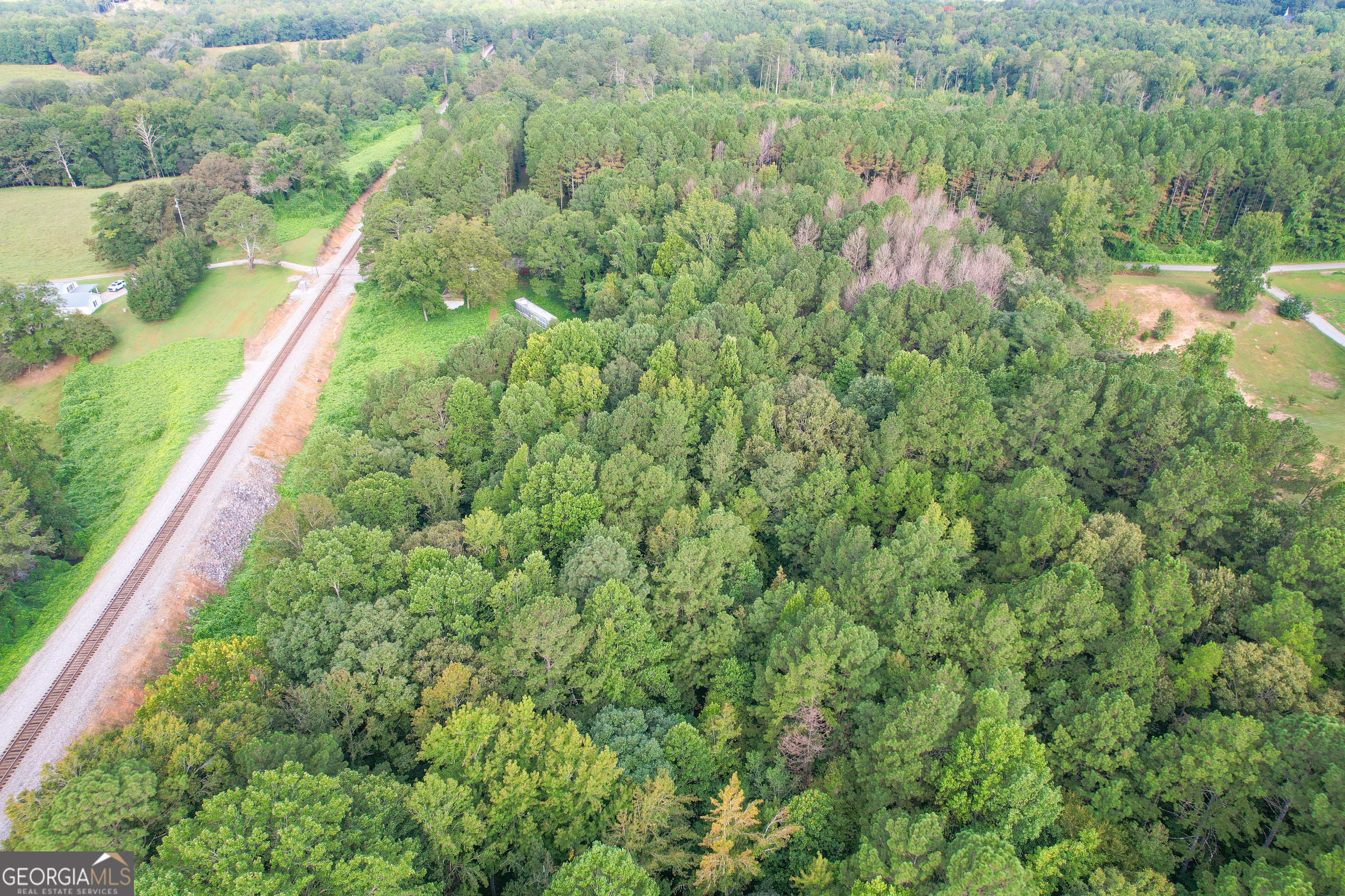 10 Acres On J Davis Road Tallapoosa, GA 30176 - Photo 18 of 25