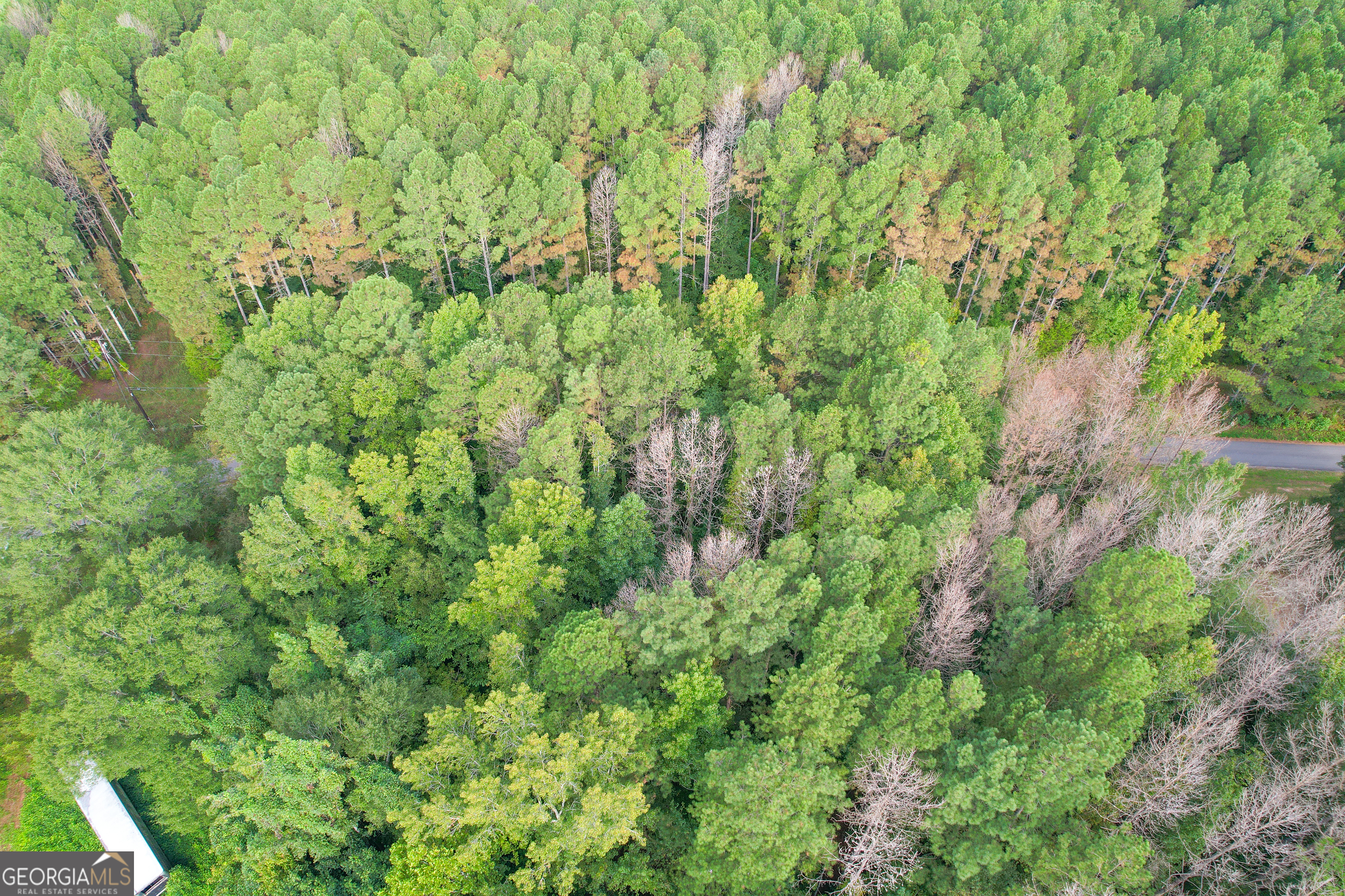 10 Acres On J Davis Road Tallapoosa, GA 30176 - Photo 20 of 25