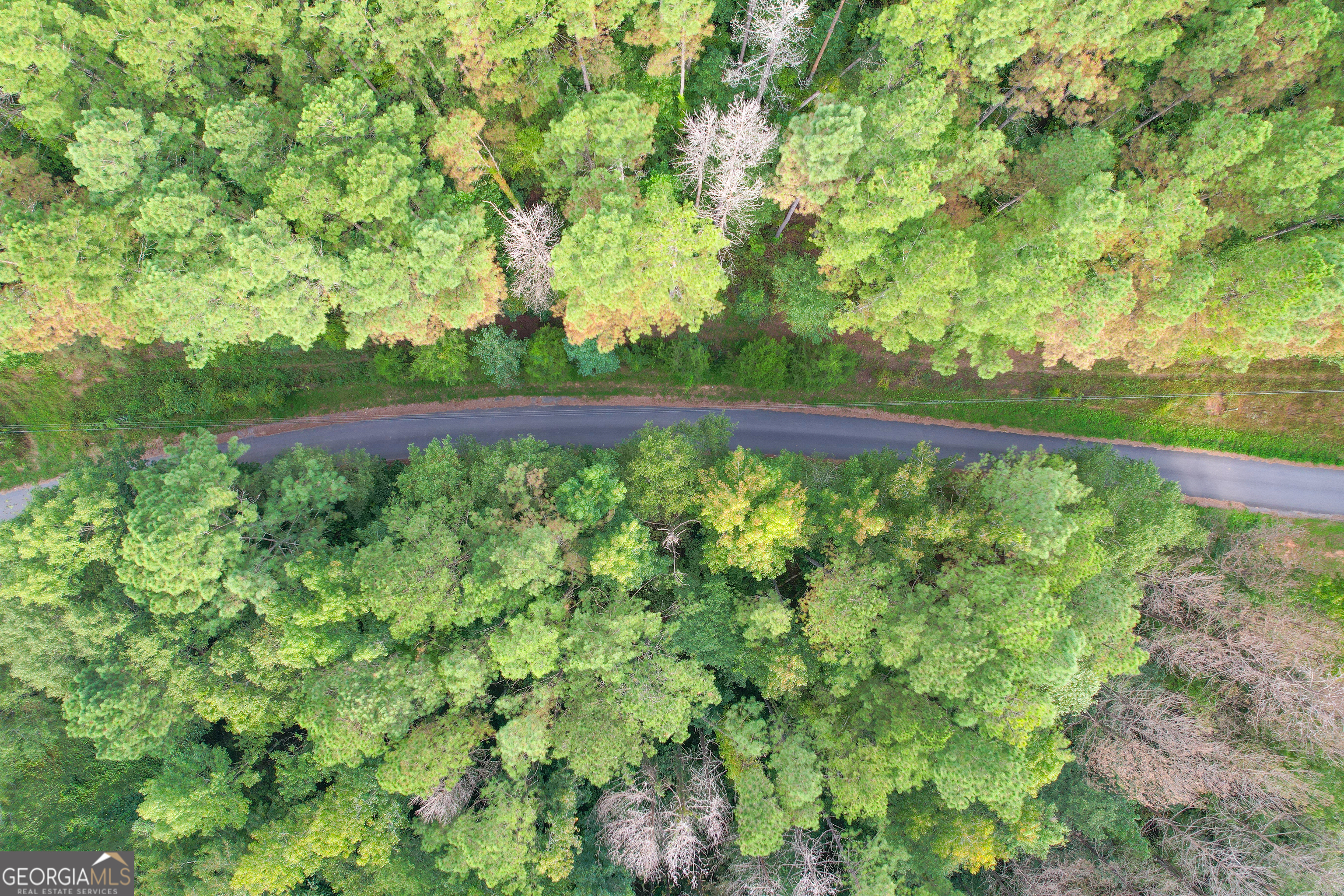 10 Acres On J Davis Road Tallapoosa, GA 30176 - Photo 21 of 25