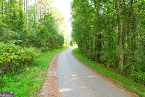 $107,500 | 10 Acres On J Davis Road, Tallapoosa, GA 30176