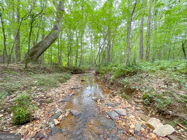a view of a forest from a balcony