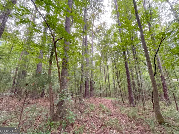 $107,500 | 10 Acres On J Davis Road, Tallapoosa, GA 30176