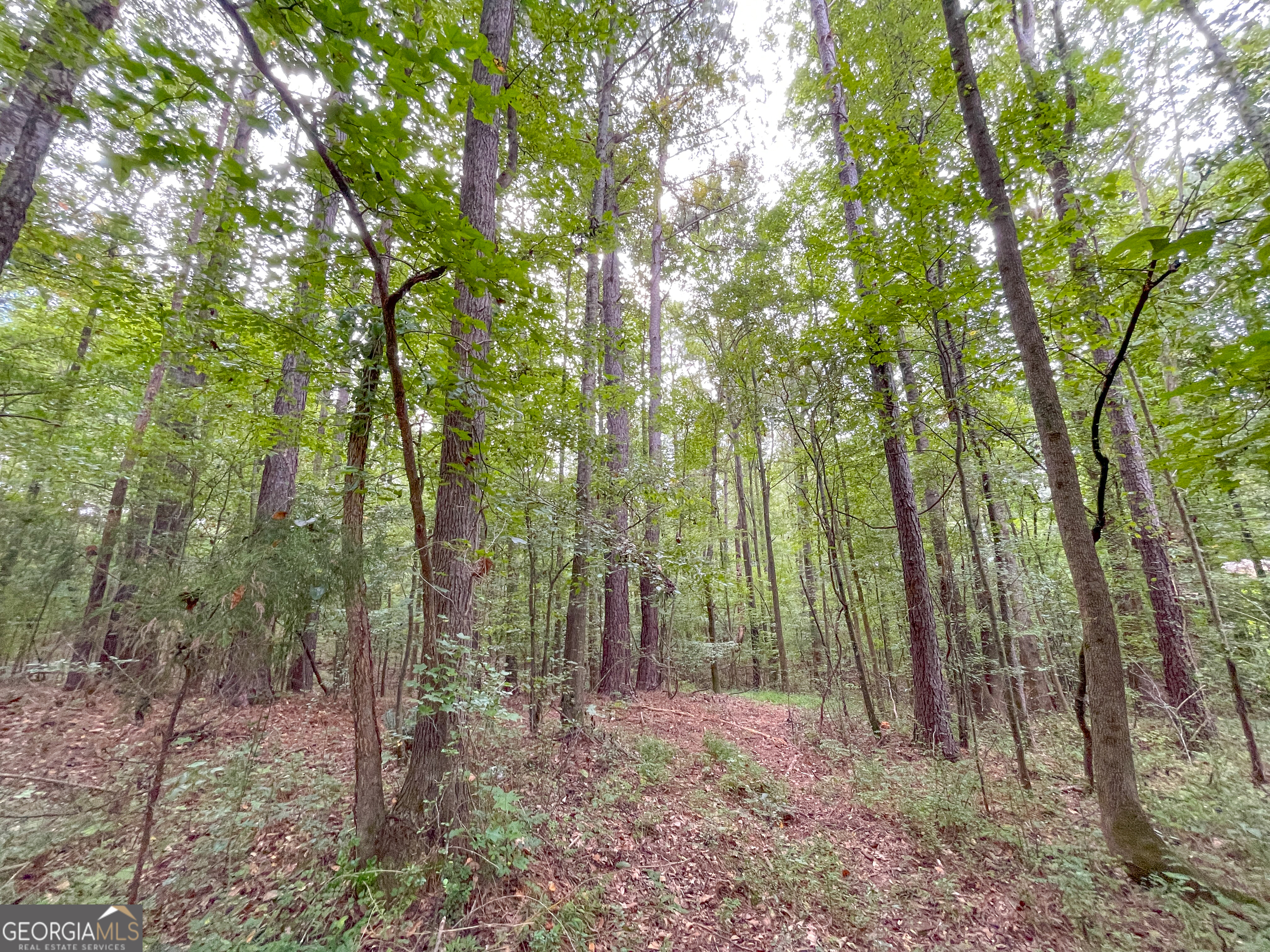 10 Acres On J Davis Road Tallapoosa, GA 30176 - Photo 5 of 25