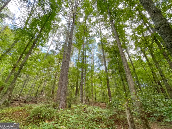 $107,500 | 10 Acres On J Davis Road, Tallapoosa, GA 30176