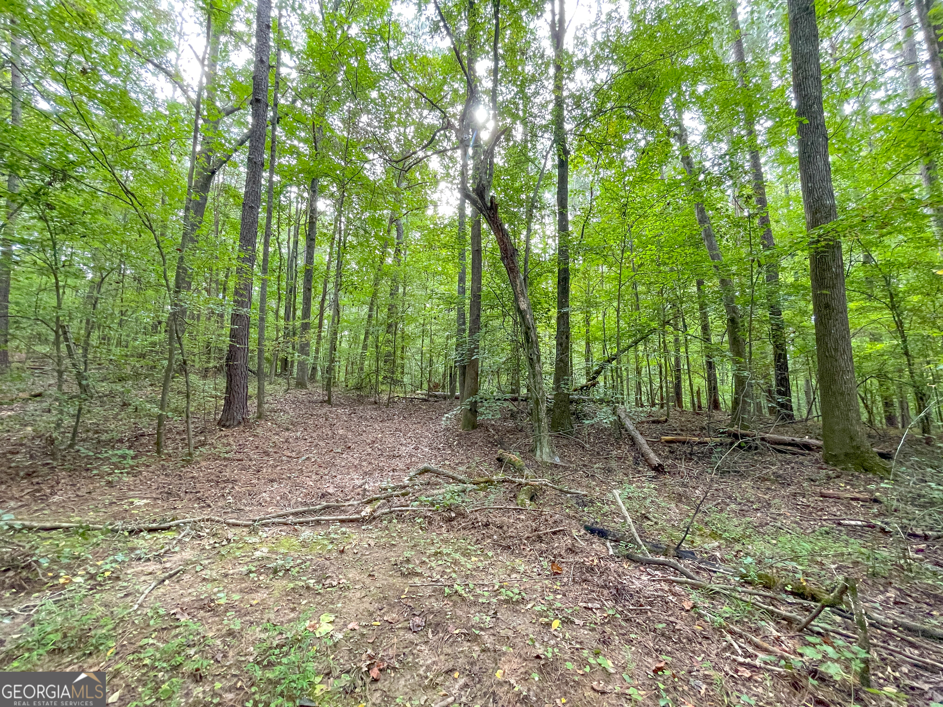 10 Acres On J Davis Road Tallapoosa, GA 30176 - Photo 7 of 25