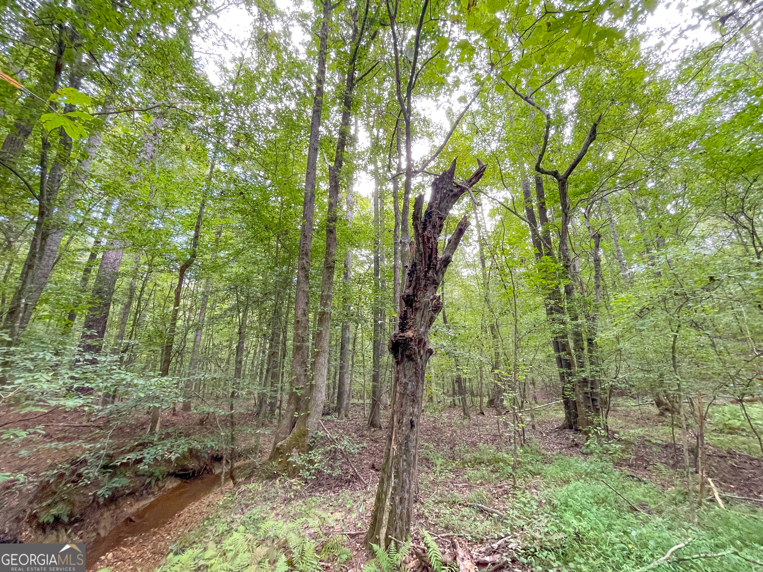 10 Acres On J Davis Road Tallapoosa, GA 30176 - Photo 8 of 25