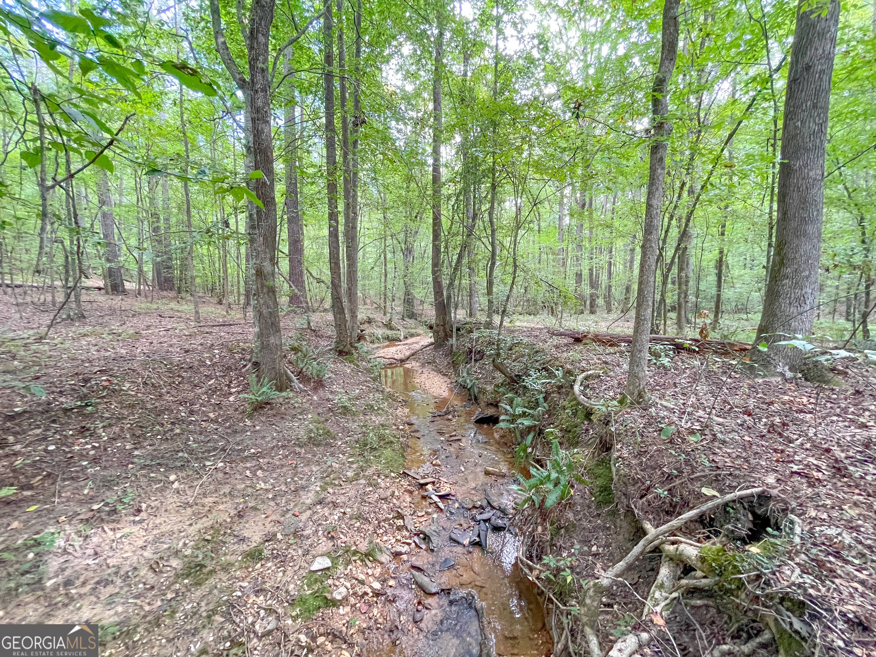 10 Acres On J Davis Road Tallapoosa, GA 30176 - Photo 9 of 25