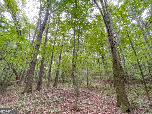 $107,500 | 10 Acres On J Davis Road, Tallapoosa, GA 30176