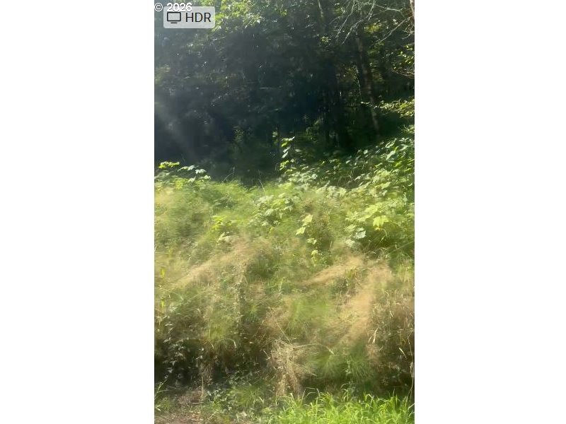 0 Adj 82050 Red Bluff Road Seaside, OR 97138 - Photo 5 of 11