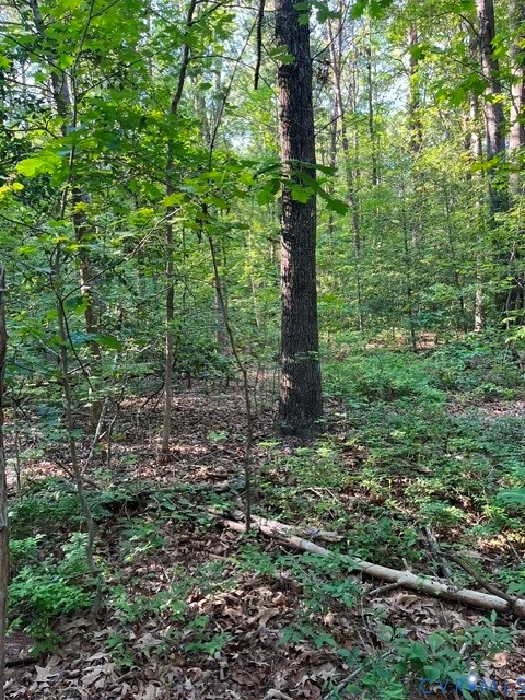 16117 West Patrick Henry Road Montpelier, VA 23192 - Photo 3 of 10