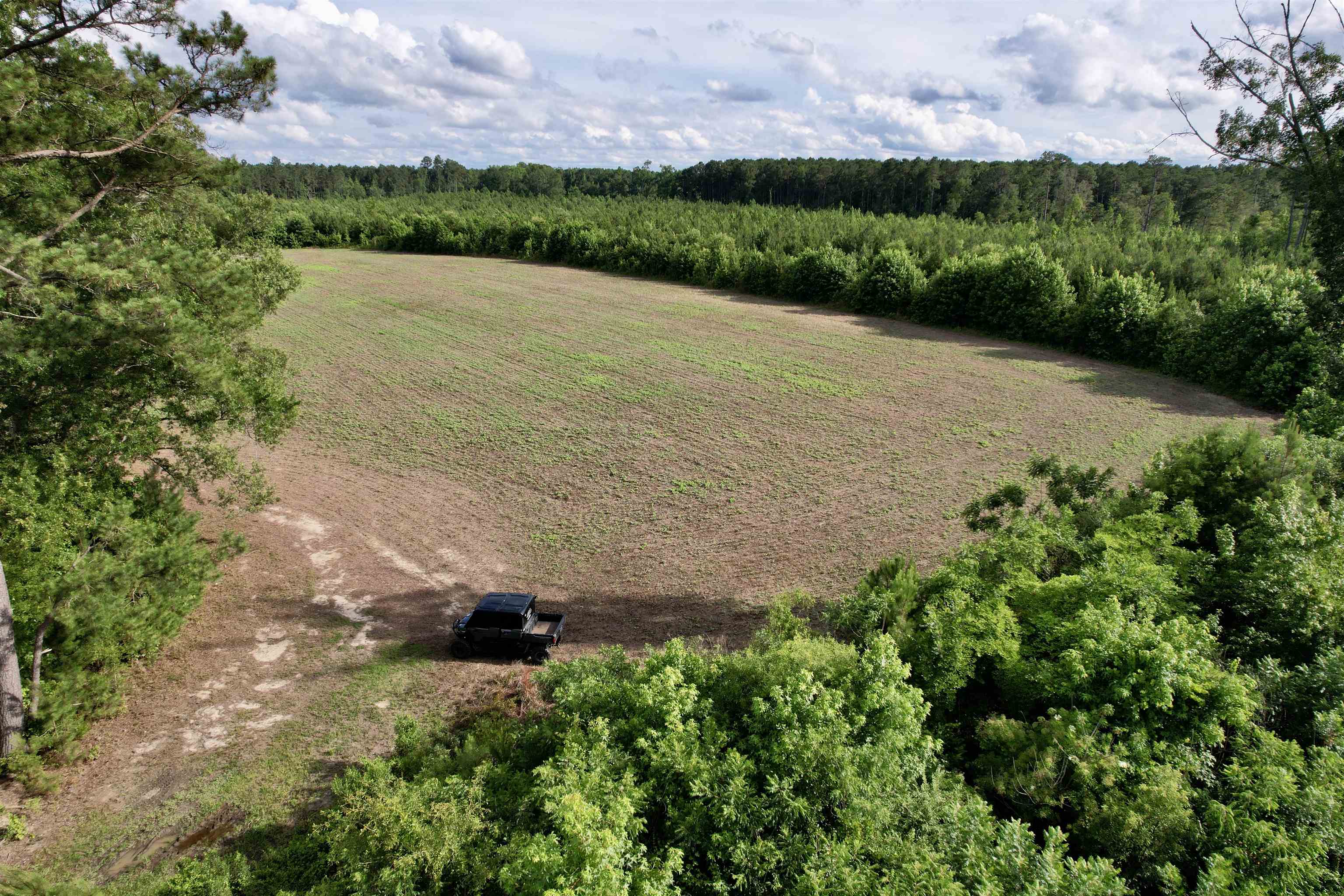85-acres - Muddy Creek Road Hemingway, SC 29554 - Photo 17 of 31