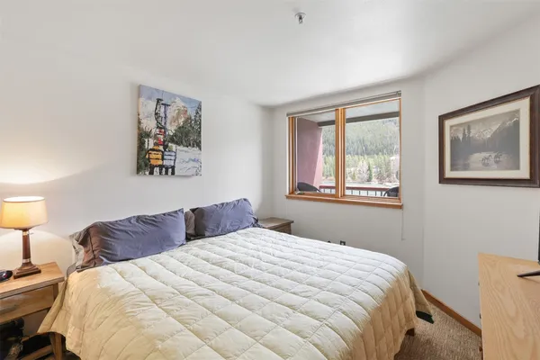 a bedroom with a large bed and a window