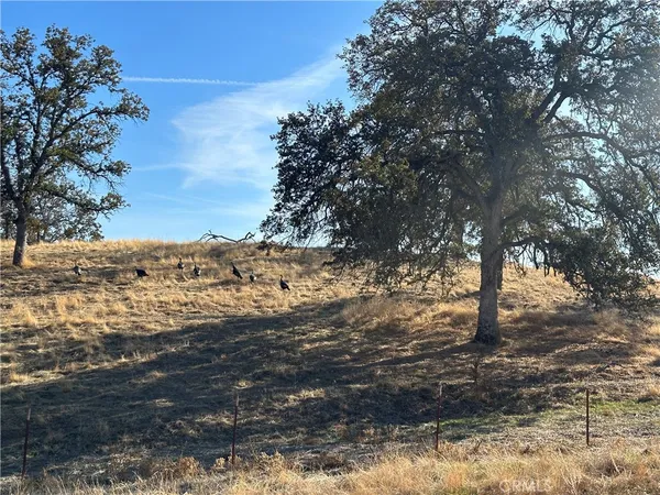 $124,999 | 0 Spinecup Ridge, Raymond, CA 93653