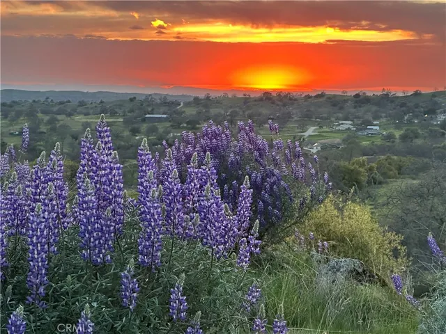 a view of a city with mountains in the background