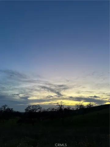 a view of a yard with wooden fence