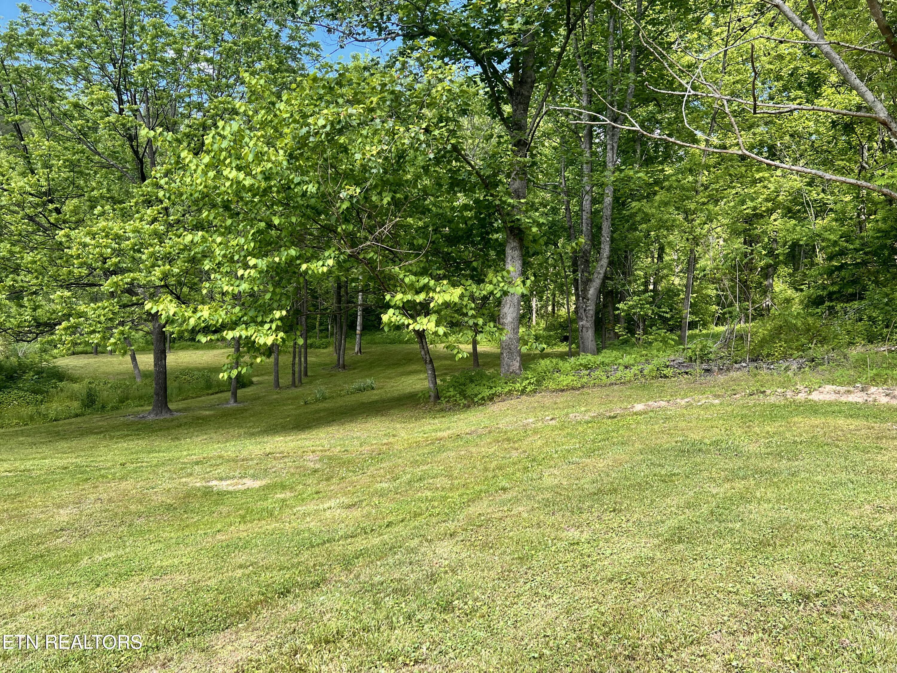 4040 Trail Hollow Road Cosby, TN 37722 - Photo 40 of 60 IMG_7338