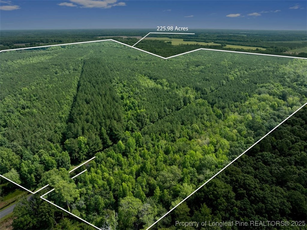 a view of a green field with clear sky