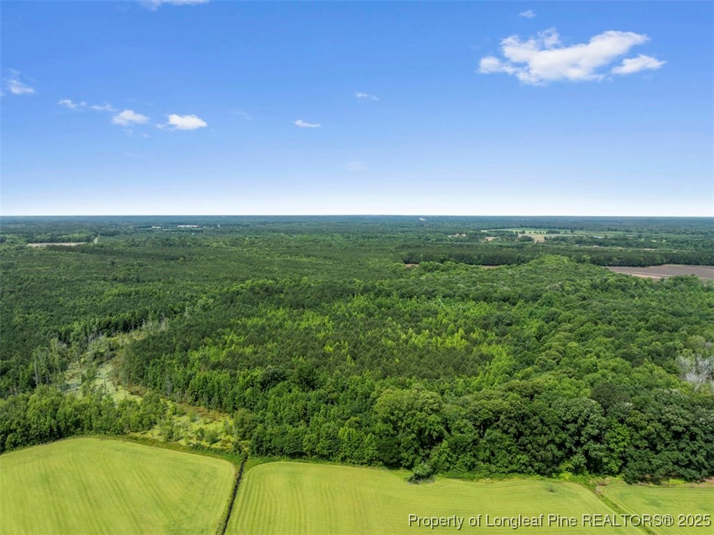 Tbd Rich Walker Road Wade, NC 28395 - Photo 12 of 18 a view of a indoor basketball court